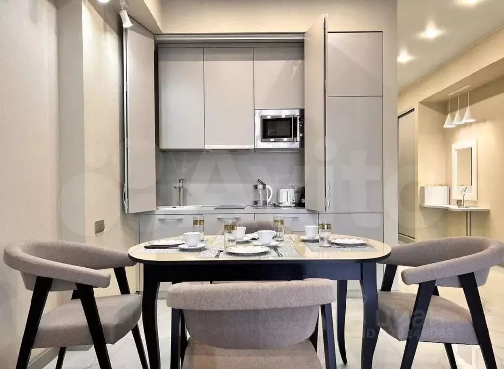 1-к кв. Краснодарский край, Сочи Светлана мкр, ул. Гагринская, 3/8 ... - Фото 2