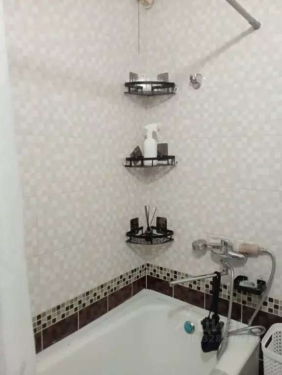 1-к кв. Омская область, Омск ул. 3-я Молодежная, 77 (30.0 м) - Фото 1