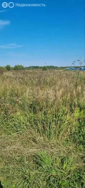 Участок в Тюменская область, Тобольский муниципальный округ, ... - Фото 2