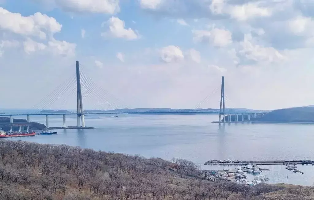 Студия Приморский край, Владивосток ул. 3-я Поселковая, 22к1 (28.0 м) - Фото 0
