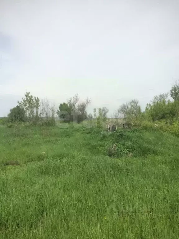 Участок в Белгородская область, Ровеньки городское поселение, Озерный ... - Фото 2