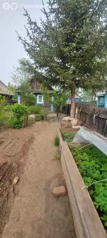 Дом в Новогеоргиевка, улица Первостроителей (44.7 м) - Фото 2