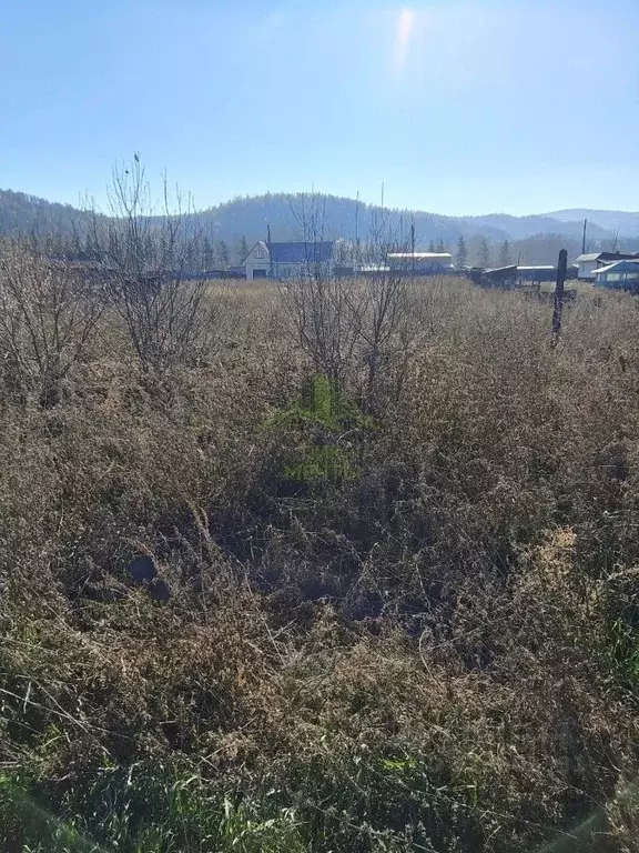 Участок в Бурятия, Прибайкальский район Р-258 Байкал, 395-й км (27.0 ... - Фото 2