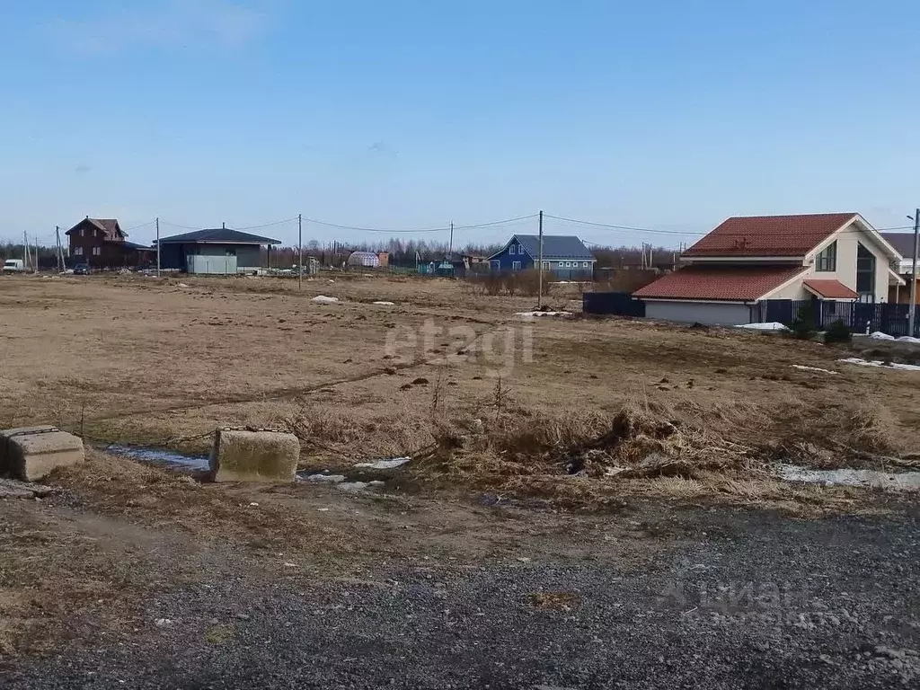 Участок в Ленинградская область, Всеволожский район, Лесколовское ... - Фото 1