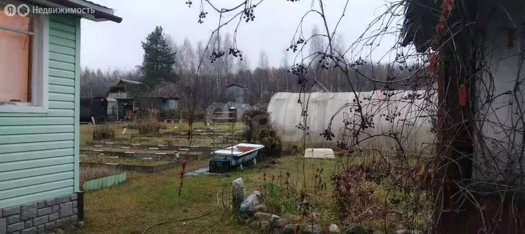 Участок в Костромской район, Бакшеевское сельское поселение, садовые ... - Фото 2