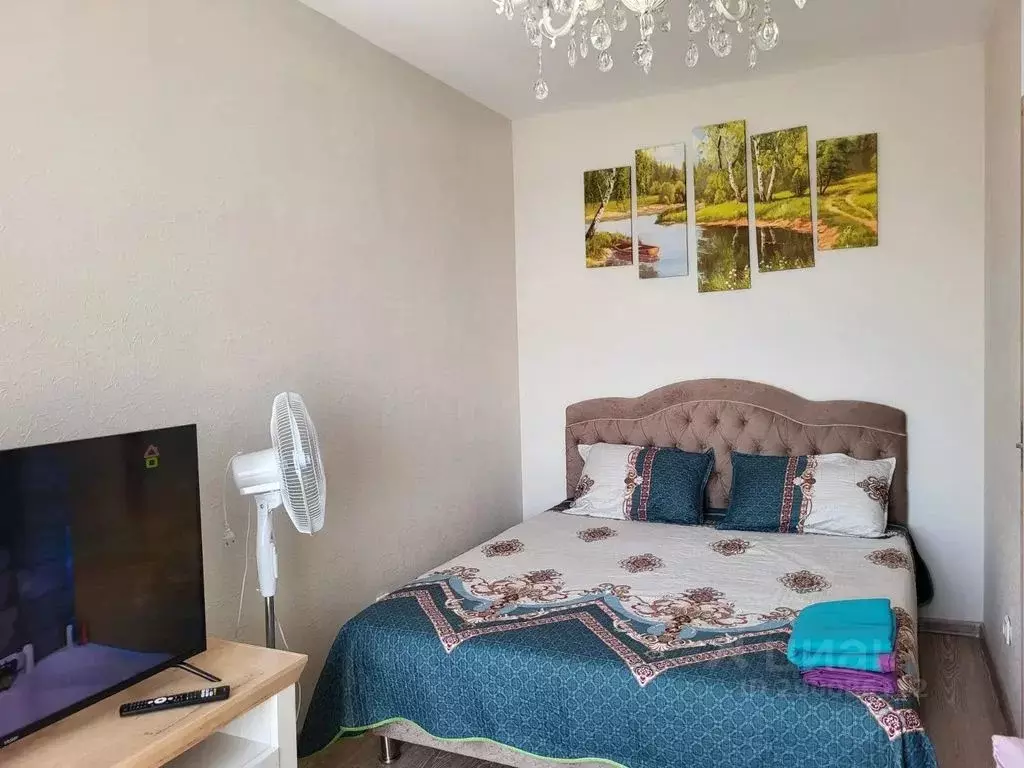 1-к кв. Санкт-Петербург Пискаревский просп., 25к2 (30.0 м) - Фото 1