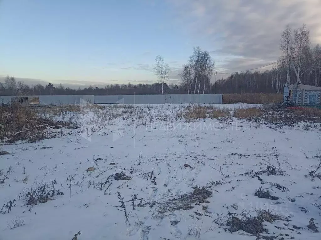 Участок в Тюменская область, Тюмень Садовое товарищество Липовый ... - Фото 2