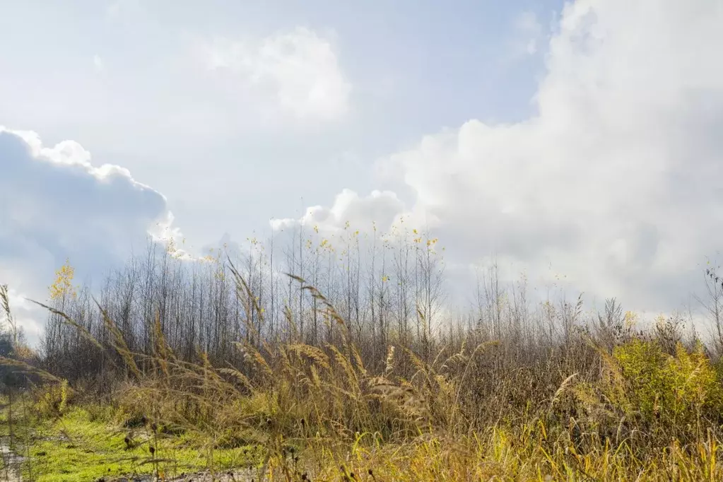 Дом в Московская область, Звенигород Одинцовский городской округ, ДСК ... - Фото 2