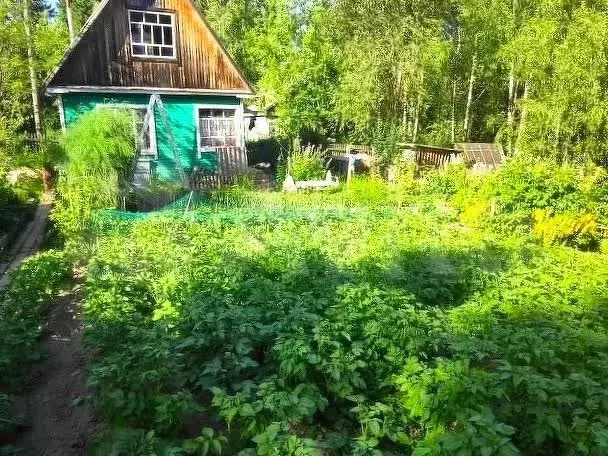 Дача 30 м на участке 7,4 сот. - Фото 1