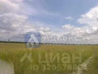 Участок в Тюменская область, Тюменский район, д. Речкина  (12.0 сот.) - Фото 1
