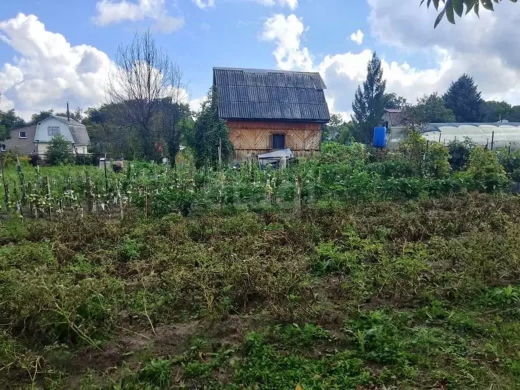 Участок в Хабаровский край, Хабаровский район, Водник СНТ ул. ... - Фото 2