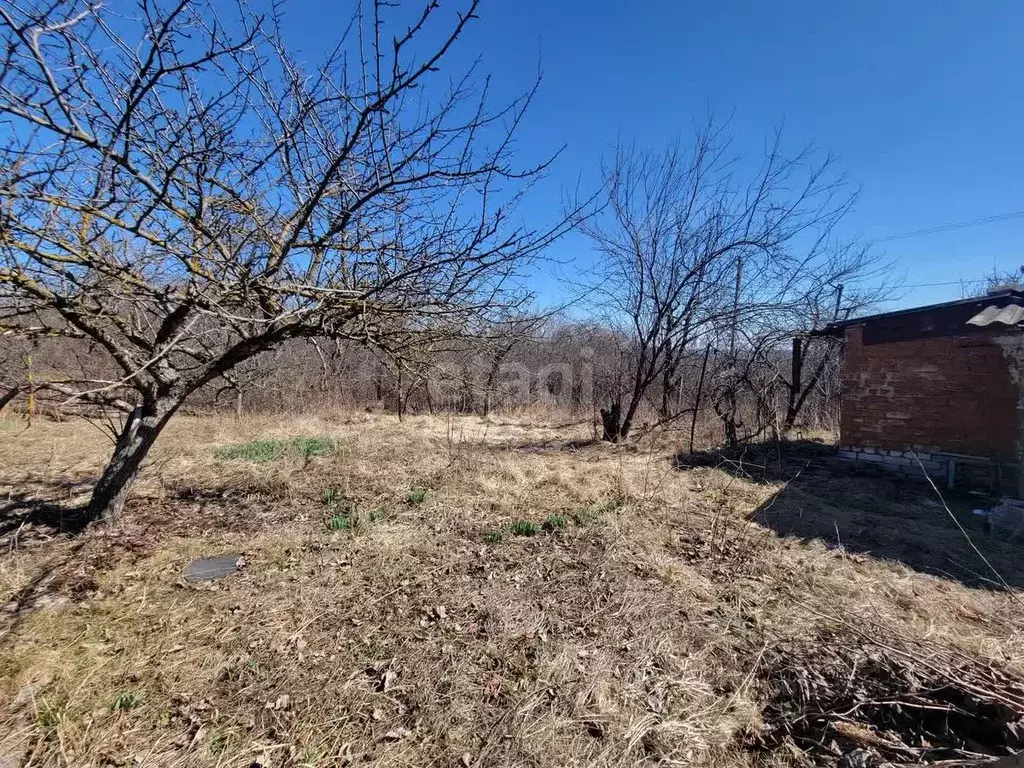 Участок в Белгородская область, Белгород Луч садовое товарищество,  ... - Фото 1