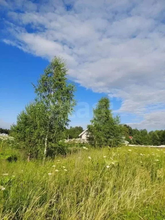 Участок в Московская область, Истра муниципальный округ, д. ... - Фото 2