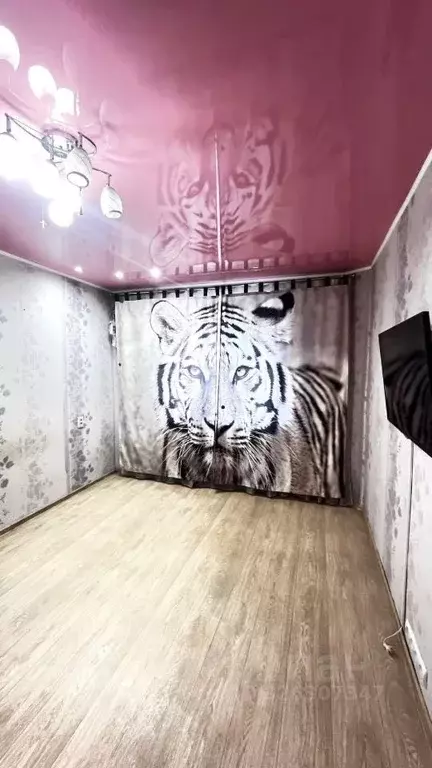 1-к кв. Камчатский край, Петропавловск-Камчатский ул. Виталия Кручины, ... - Фото 1