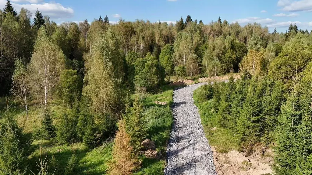 Участок в Калужская область, Боровский муниципальный округ, д. Шилово  ... - Фото 1