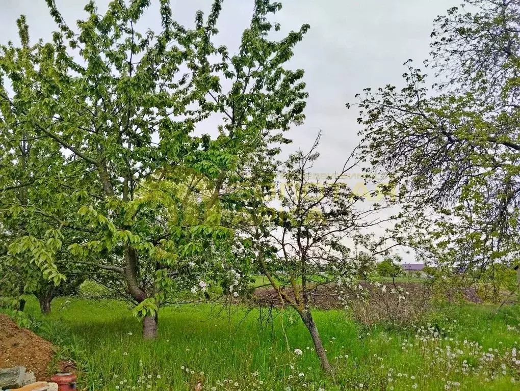 Участок в Краснодарский край, Славянский район, Коржевское с/пос, ... - Фото 1