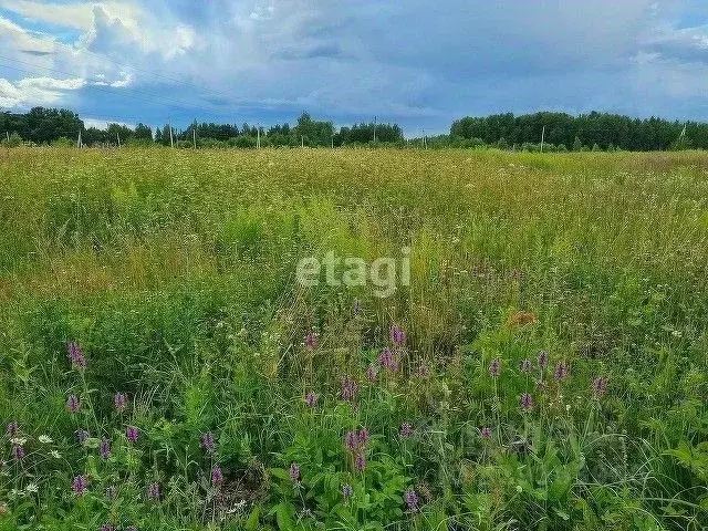 Участок в Калужская область, Калуга городской округ, д. Груздово  ... - Фото 1