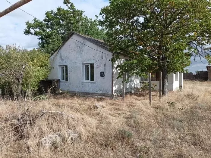 Дом в Крым, Раздольненский район, Березовское с/пос, с. Березовка  (48 ... - Фото 1