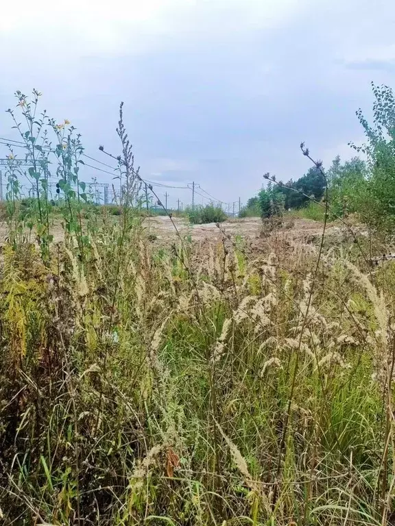 Участок в Московская область, Люберцы городской округ, Малаховка пгт ... - Фото 1