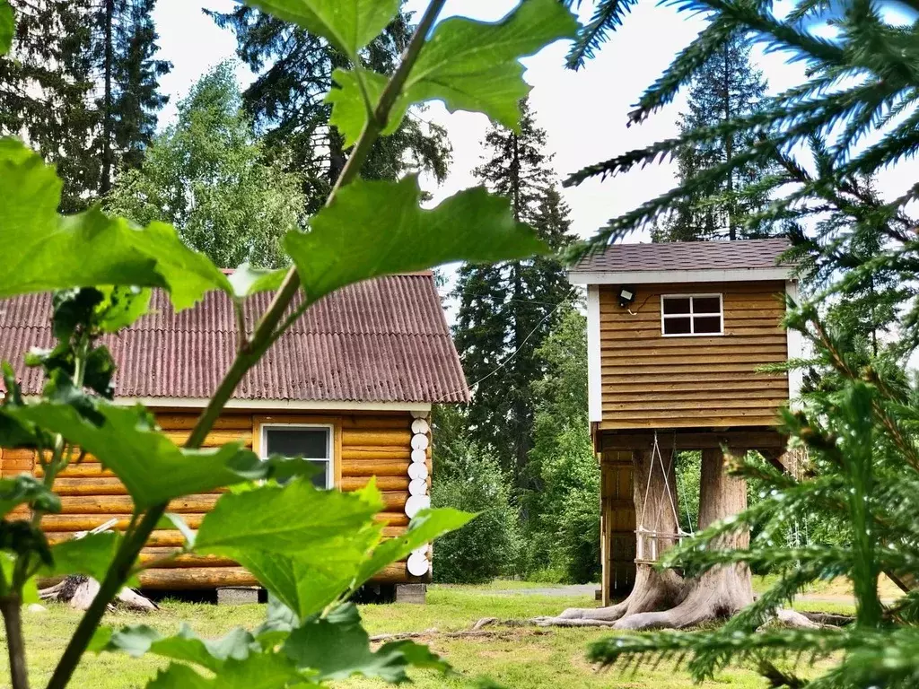 Дом в Карелия, Сортавальский муниципальный округ, пос. Рускеала ул. ... - Фото 0