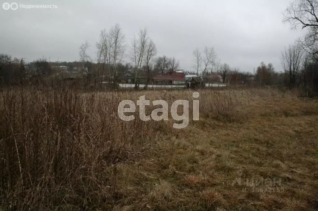 Участок в село Вадинск, улица Большая Закеренка (19 м) - Фото 1