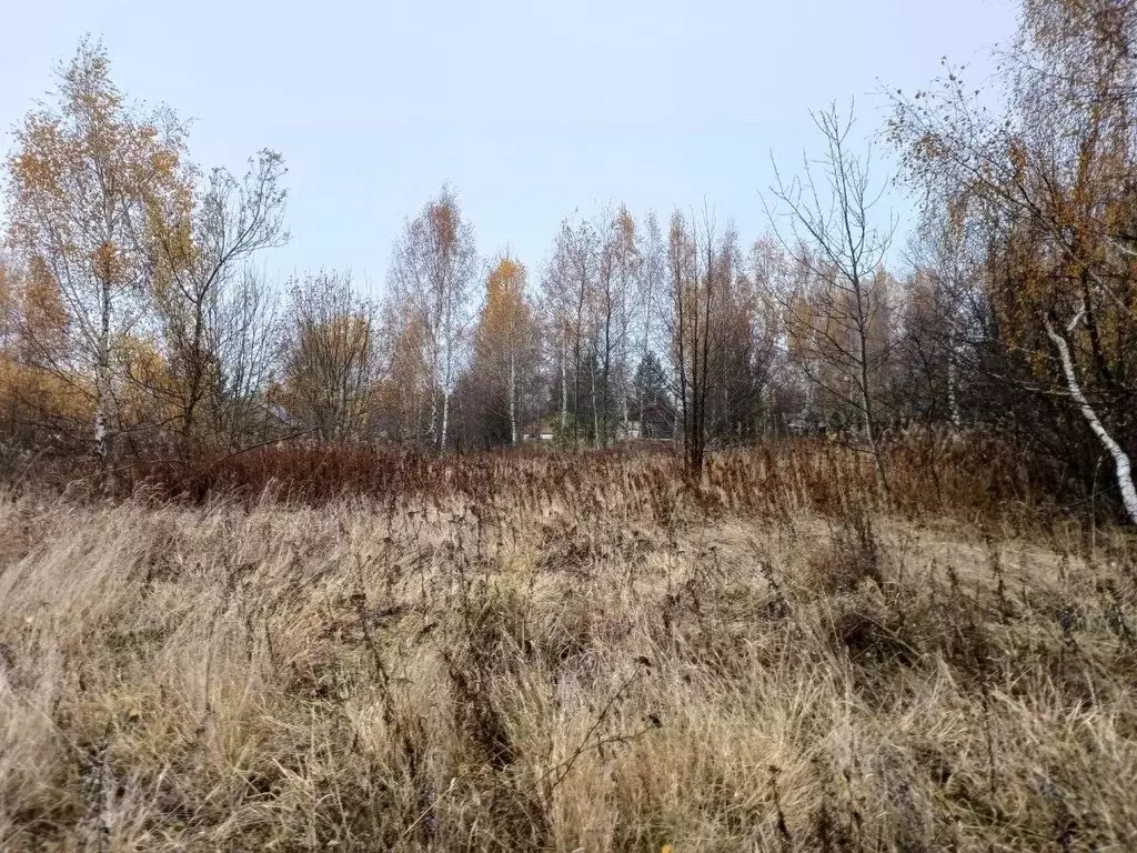 Участок в Московская область, Сергиево-Посадский городской округ, д. ... - Фото 0