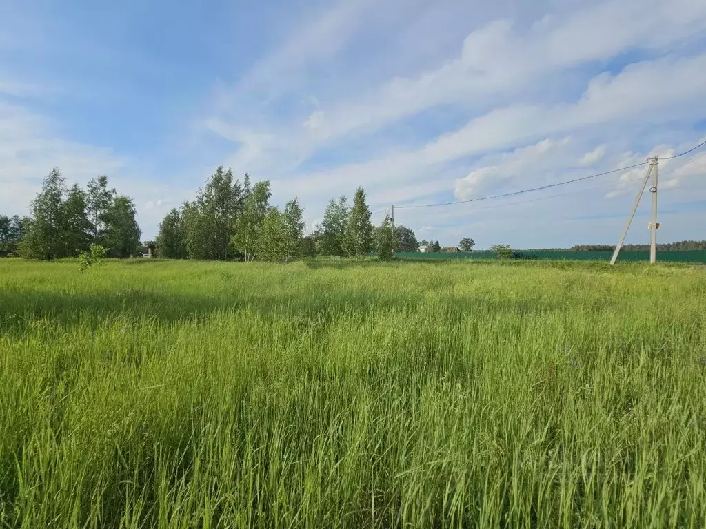 Участок в Московская область, Щелково городской округ, д. Аксиньино  ... - Фото 0