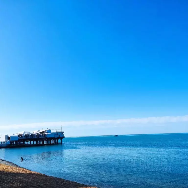 Студия Краснодарский край, Сочи ул. Черноморская, 10 (27.0 м) - Фото 1