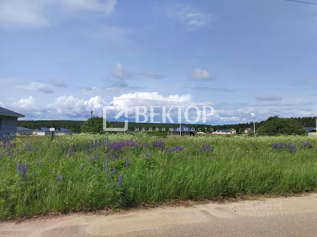 Участок в Костромская область, Костромской район, Бакшеевское с/пос, ... - Фото 2