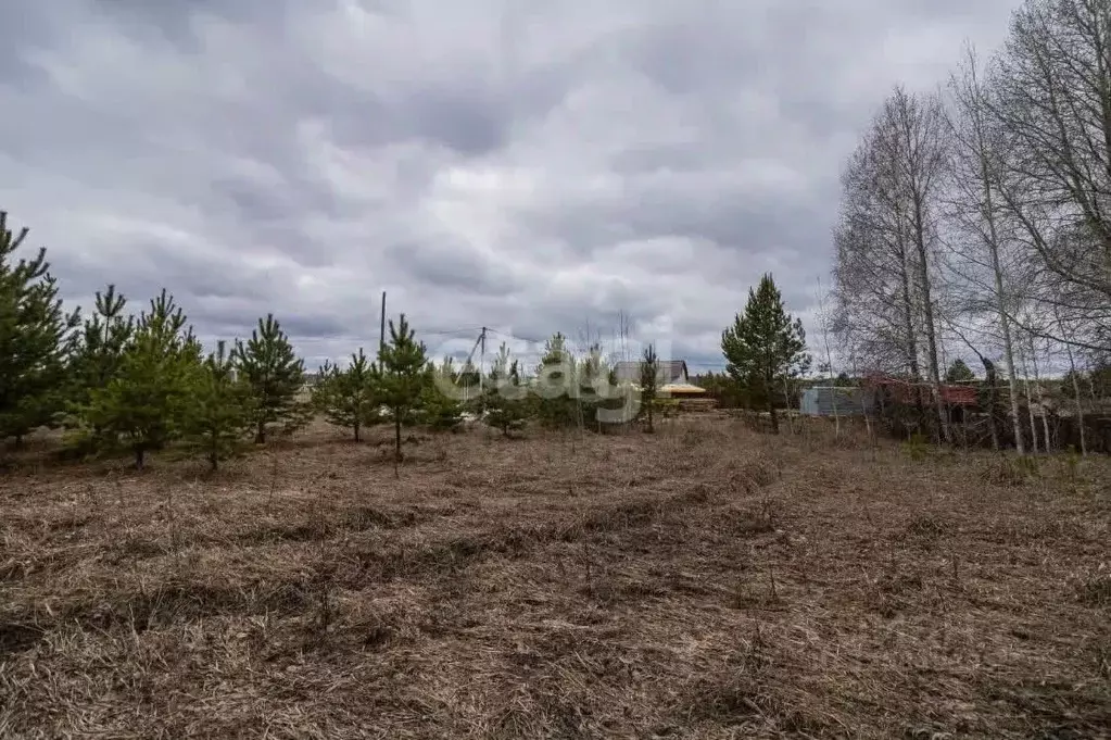 Участок в Тюменская область, Тюменский муниципальный округ, с. Каменка ... - Фото 1