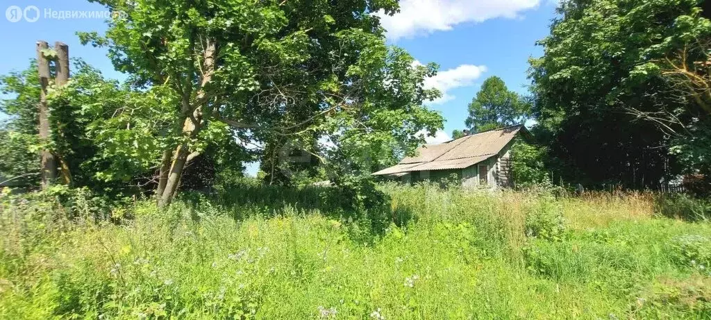 Участок в муниципальное образование Новосельское, село Крутово, улица ... - Фото 0