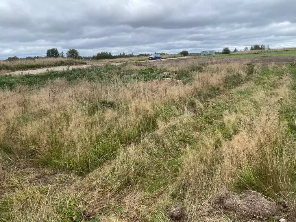 Участок в Ленинградская область, Ломоносовский район, Лопухинское ... - Фото 1