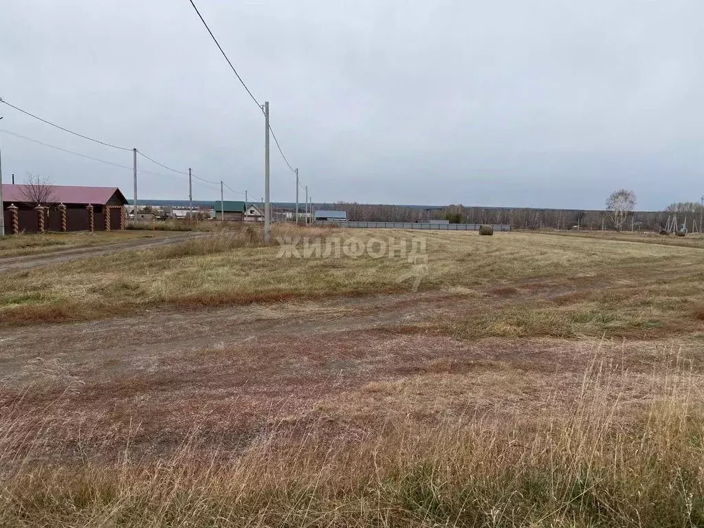 Участок в Самарская область, Красный Яр с/пос, с. Красный Яр ул. ... - Фото 1