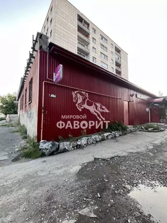 Помещение свободного назначения в Оренбургская область, Орск Новый ... - Фото 1
