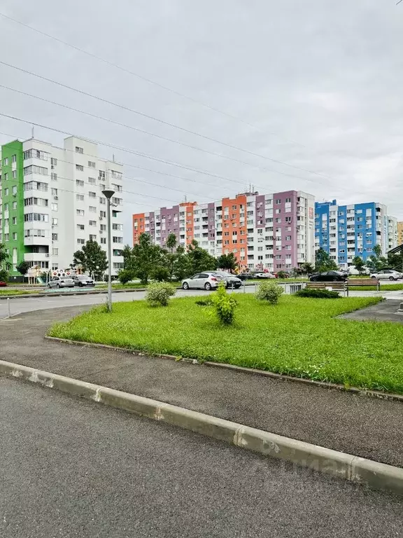 Помещение свободного назначения в Краснодарский край, Краснодар ... - Фото 1