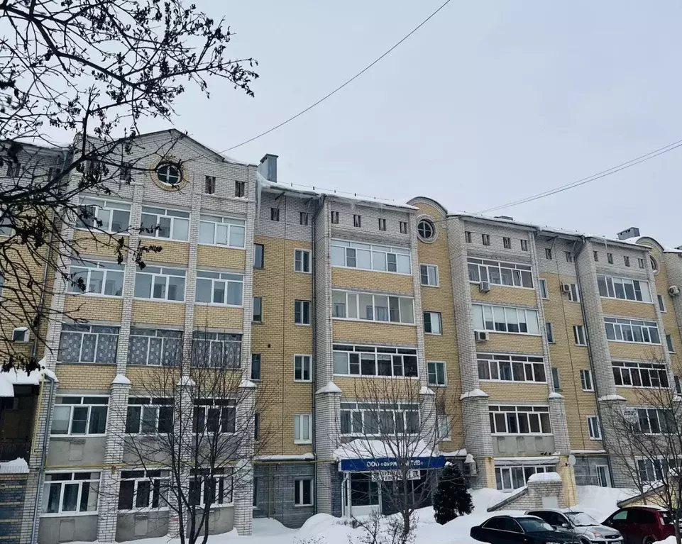 1-к кв. Нижегородская область, Арзамас ул. Куликова, 55 (60.0 м) - Фото 1