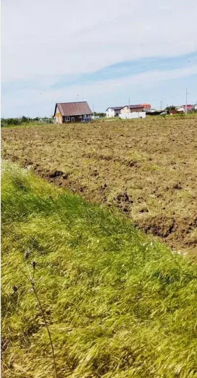 Участок в Крым, Ленинский район, Калиновское с/пос, Мрия СНТ ул. ... - Фото 2