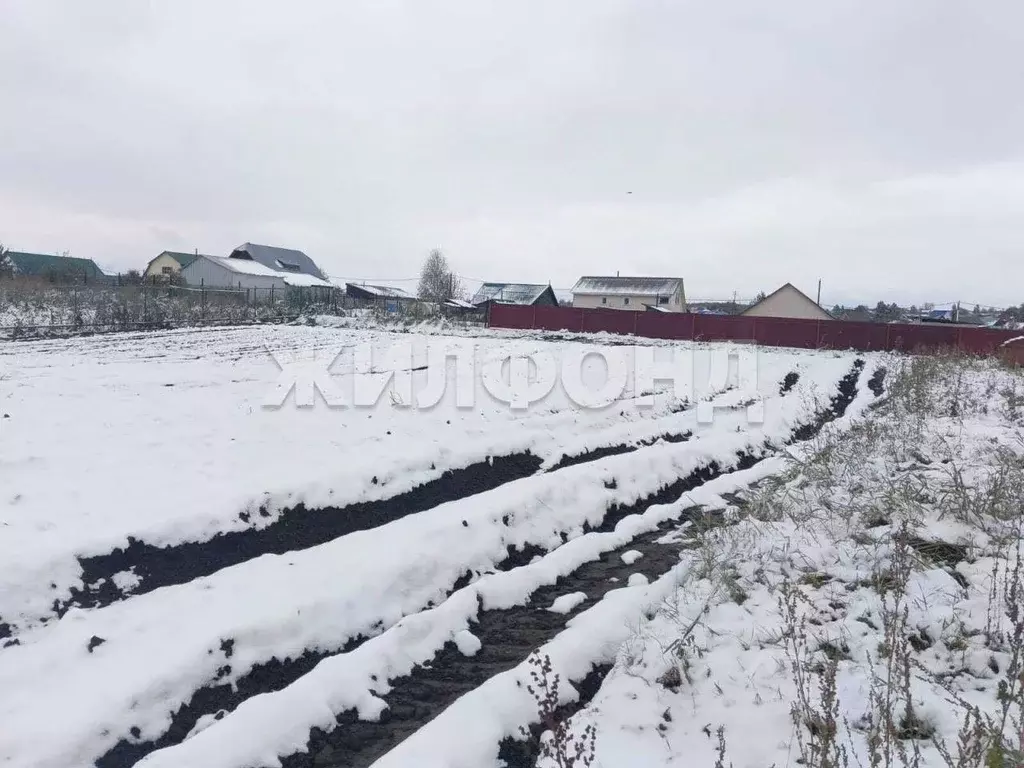 Участок в Новосибирская область, Колыванский район, д. Большой Оеш ... - Фото 1