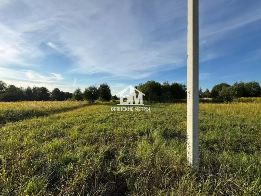 Участок в Брянская область, Брянский район, Мичуринское с/пос, Заря ... - Фото 2