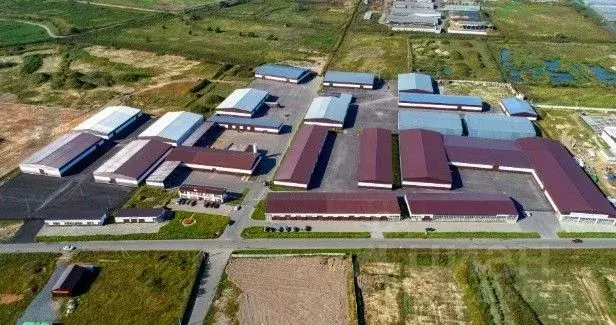 Производственное помещение в Ленинградская область, Тельмана ... - Фото 0