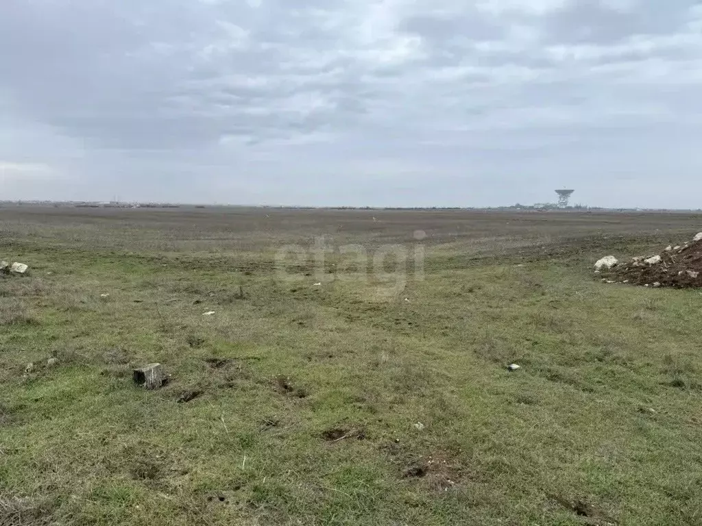 Участок в Крым, Сакский район, Молочненское с/пос, с. Витино  (3.18 ... - Фото 1