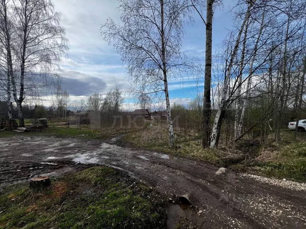 Участок в Новгородская область, Боровичи ул. Салтыкова-Щедрина, 9 ... - Фото 0