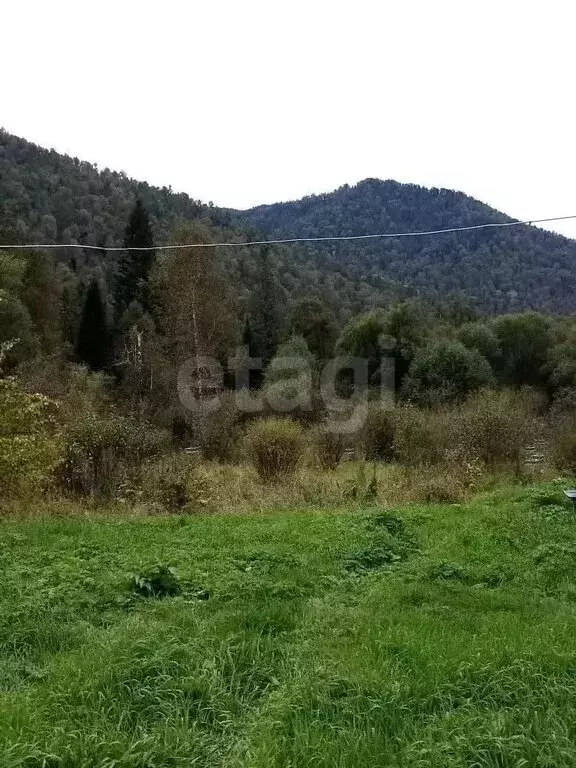 Участок в Чемальский район, урочище Эликманар (125.56 м) - Фото 2