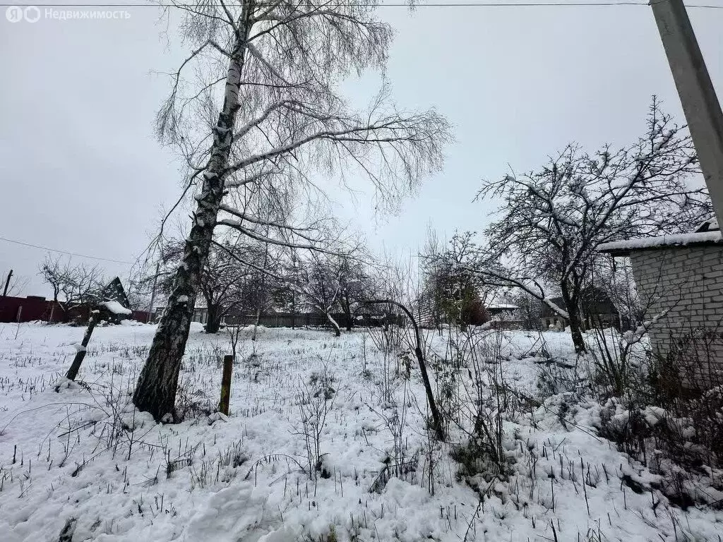 Участок в посёлок Верный Путь, садоводческое объединение Урожайное ... - Фото 1