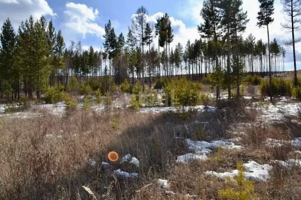 Участок в Забайкальский край, Читинский район, пос. Забайкальский  ... - Фото 1