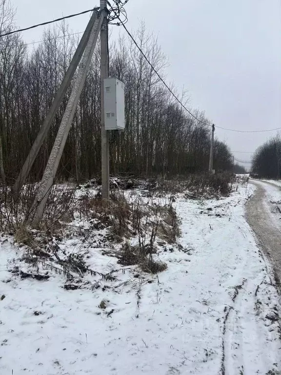 Участок в Московская область, Чехов муниципальный округ, д. Васькино ... - Фото 1