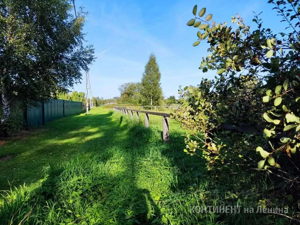 Участок в Ярославская область, Рыбинский муниципальный округ, с. ... - Фото 2