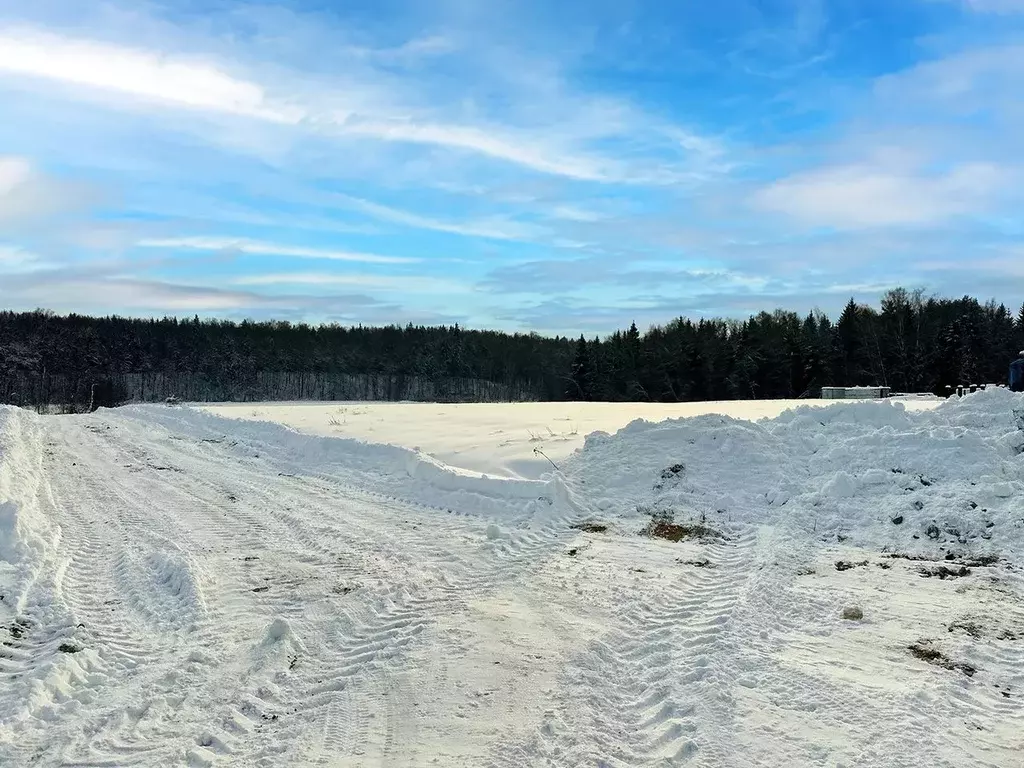 Участок в Московская область, Подольск городской округ, Пузиково кп 73 ... - Фото 1