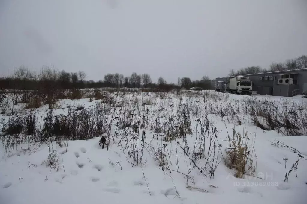 Участок в Вологодская область, Шекснинский муниципальный округ, д. ... - Фото 1