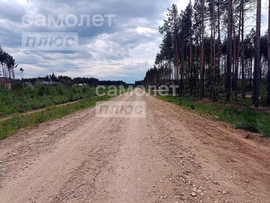 Участок в Коми, Сыктывкар городской округ, Краснозатонский пгт ул. ... - Фото 1
